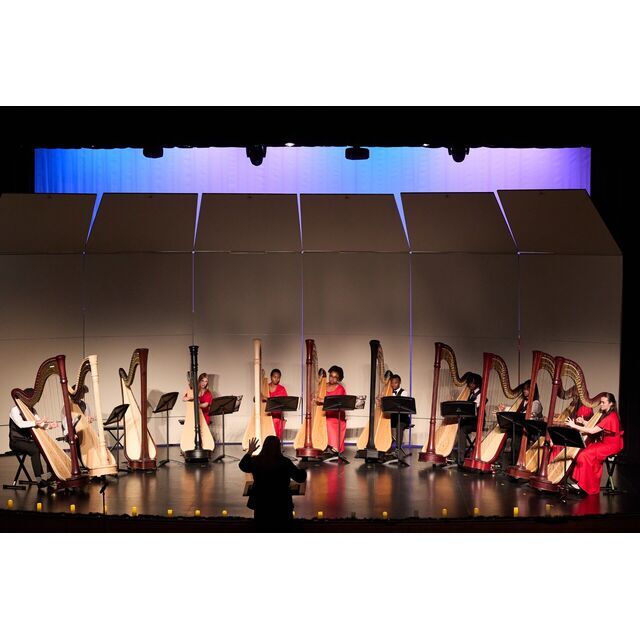 avatar for Urban Youth Harp Ensemble
