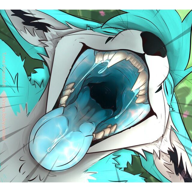 avatar for Chase Wilson
