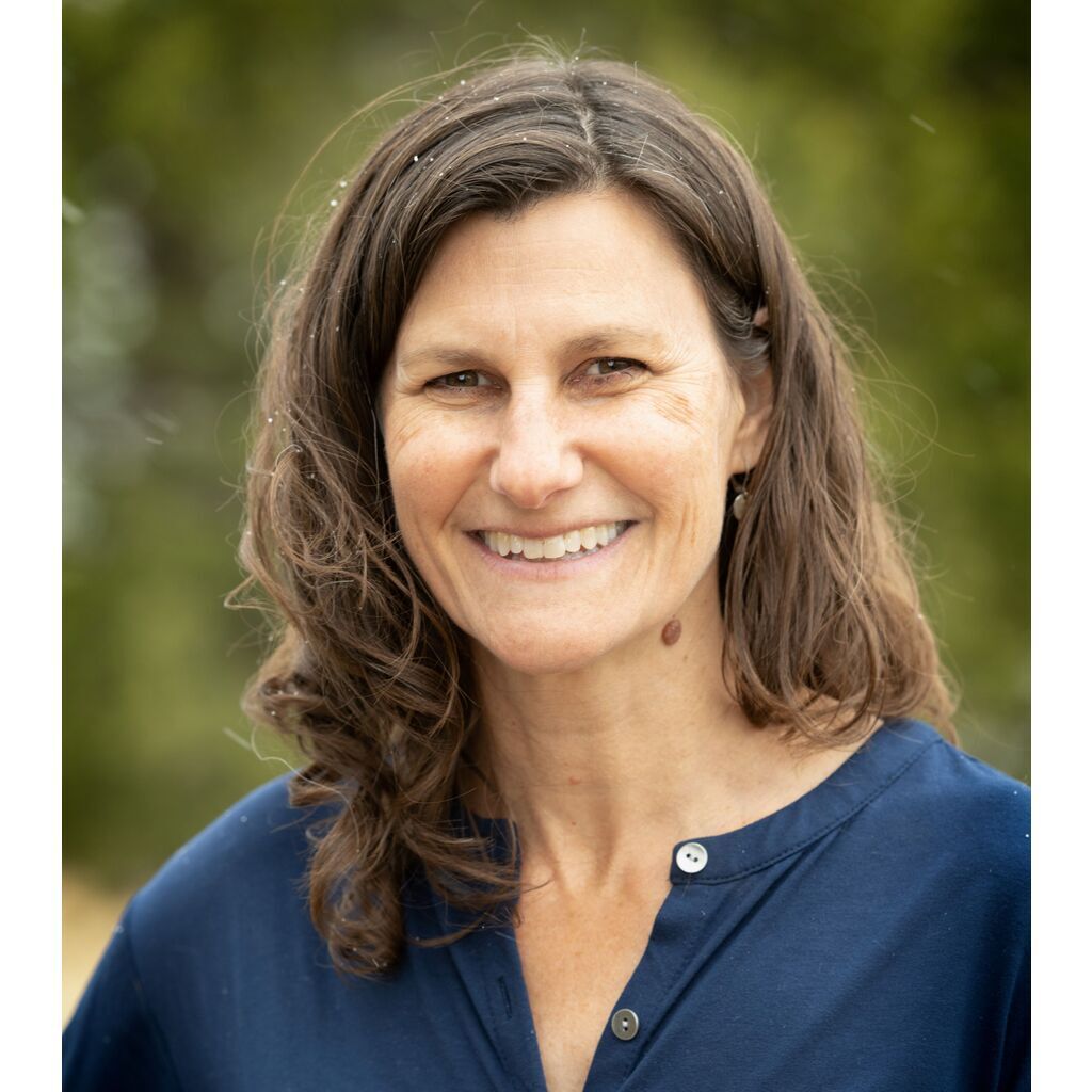 avatar for Sue Schneider