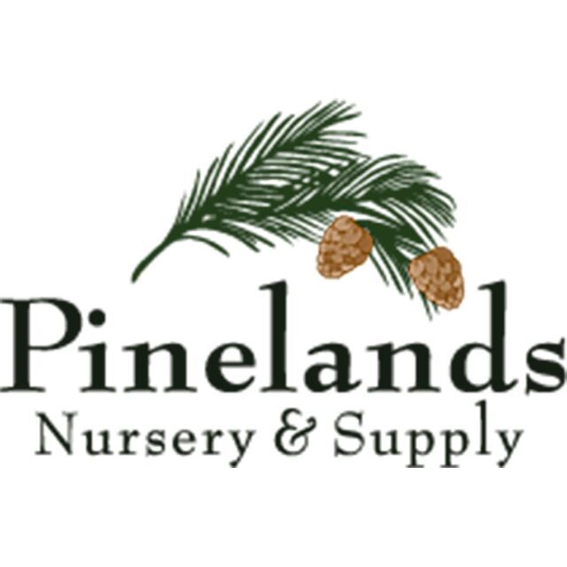 avatar for Pinelands Nursery