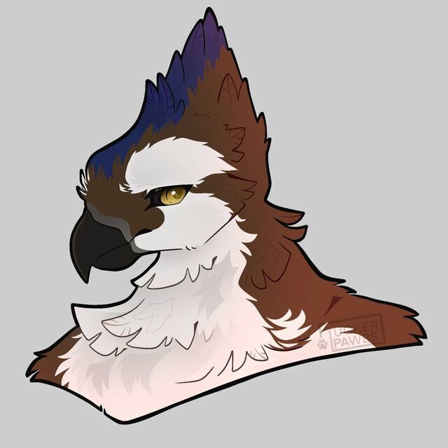 avatar for Erik the Vagabond