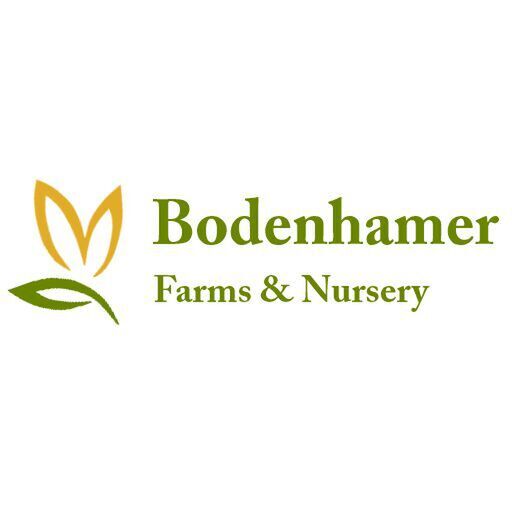 avatar for Bodenhamer Farms & Nursery