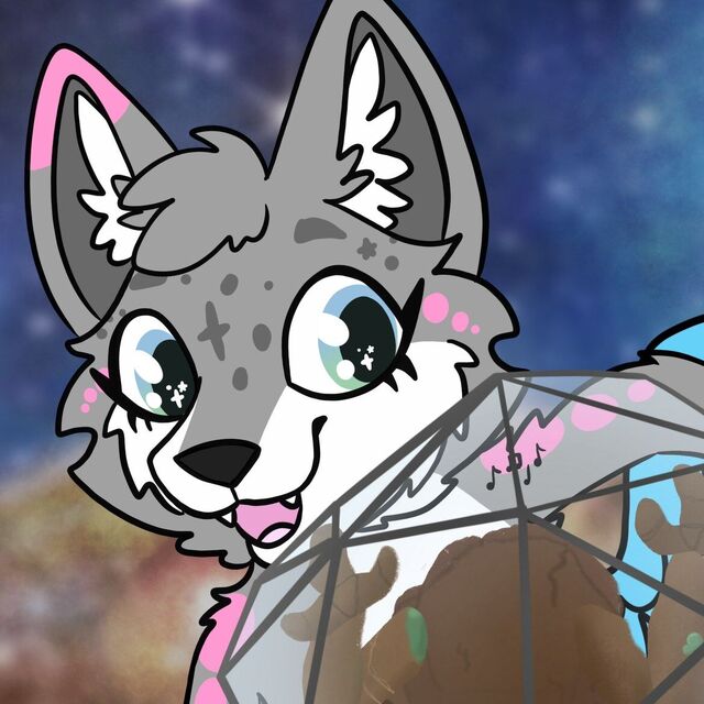 avatar for Wonder