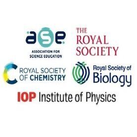 avatar for SEPA
