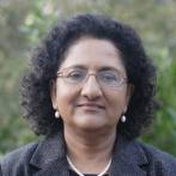 avatar for nalini elkins