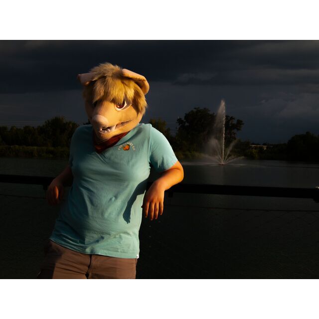 avatar for VK