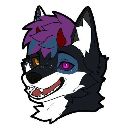 avatar for Pup Kubbz