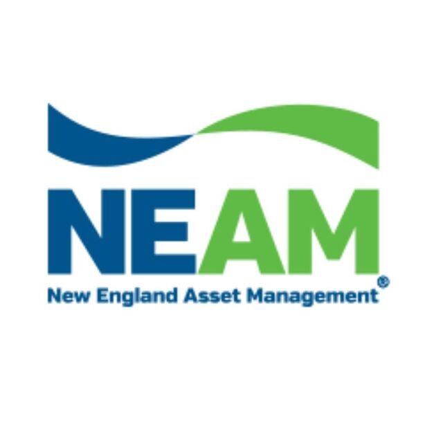 avatar for NEAM