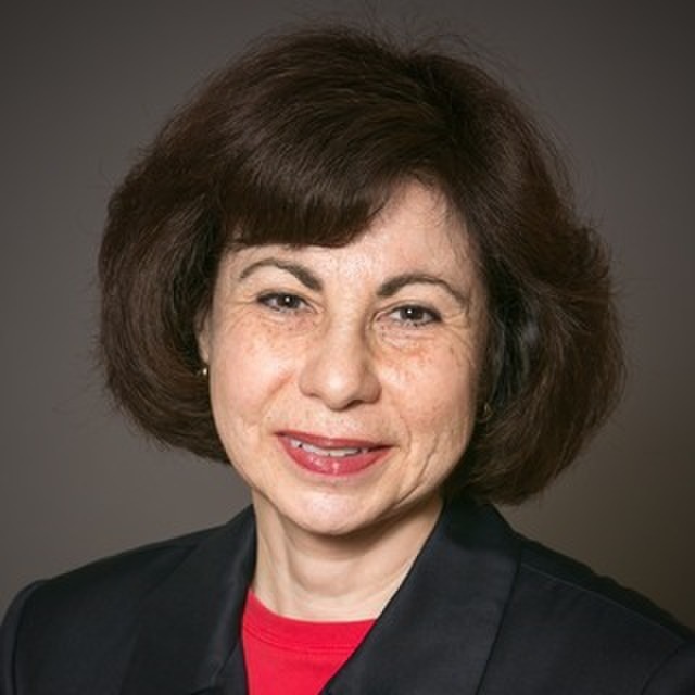 avatar for Anna Slomovic