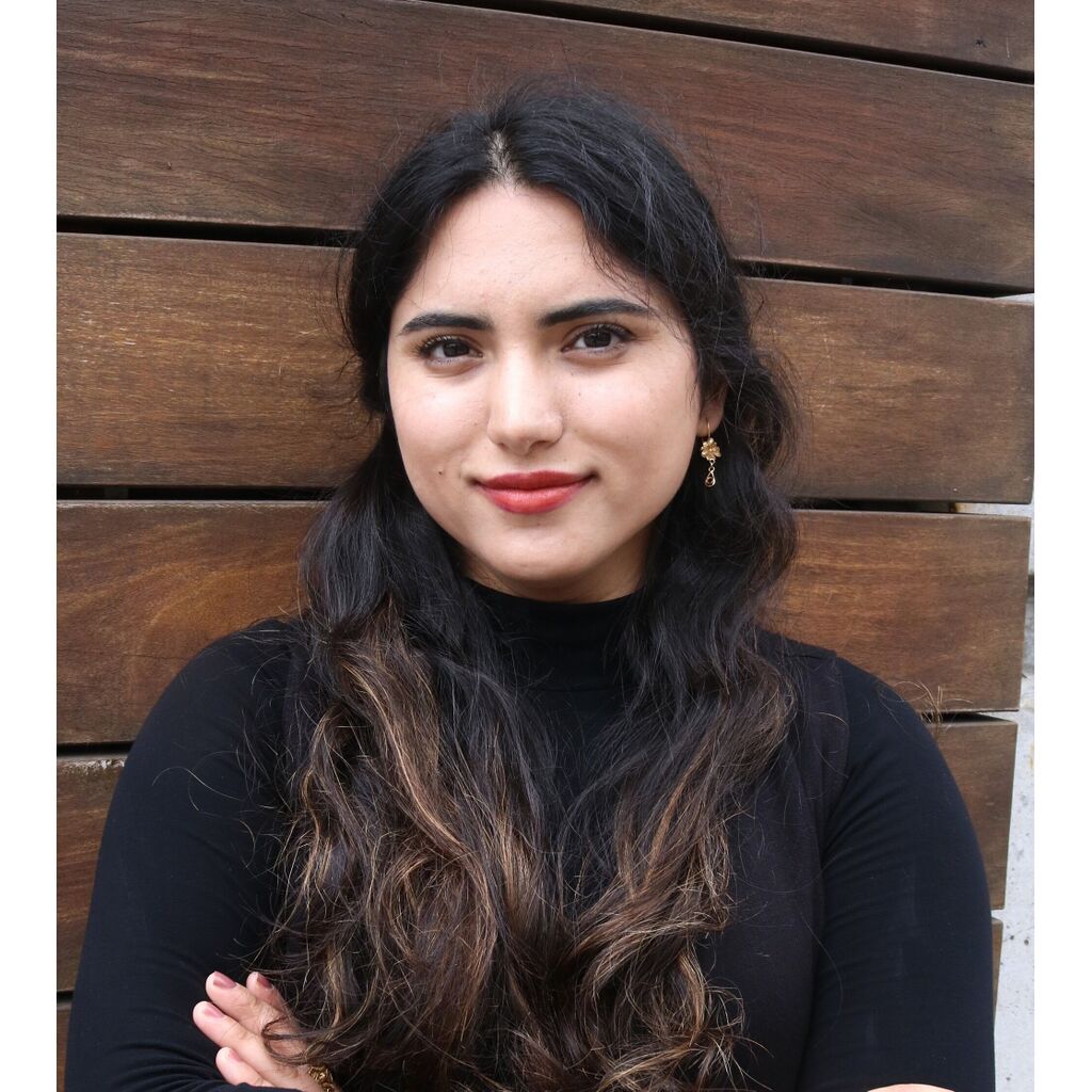 avatar for Parisa Saqib