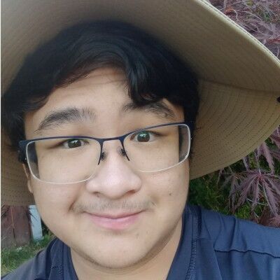 avatar for Nelson Pham
