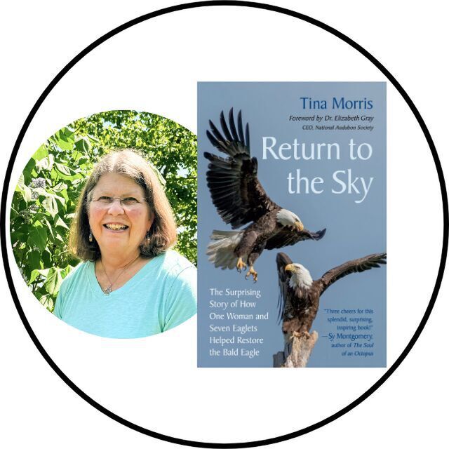 avatar for Tina Morris