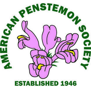 avatar for American Penstemon Society