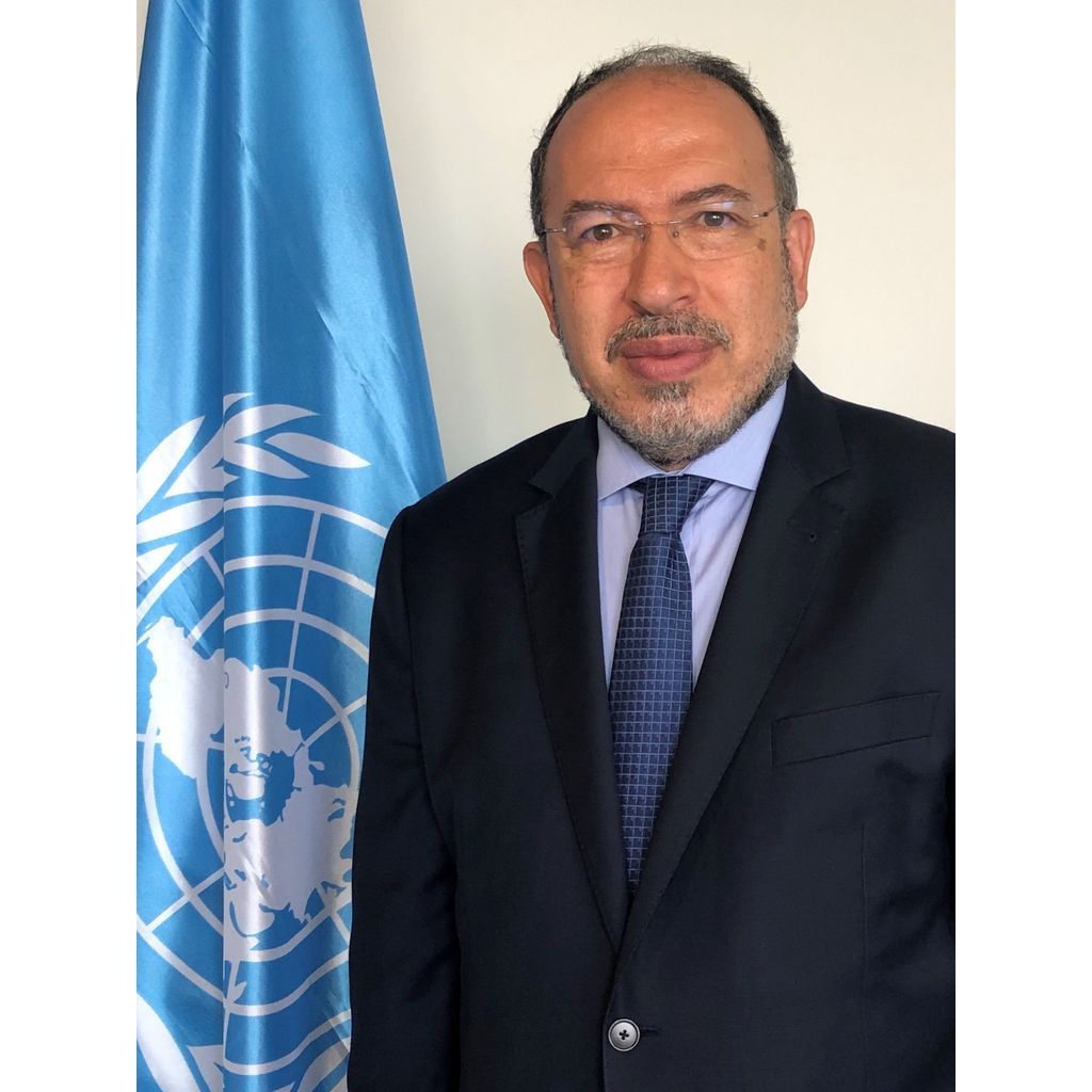 avatar for Tawfik Jelassi