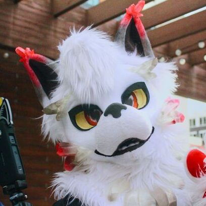 avatar for Kanyon Coyote