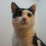 avatar for PPCAT