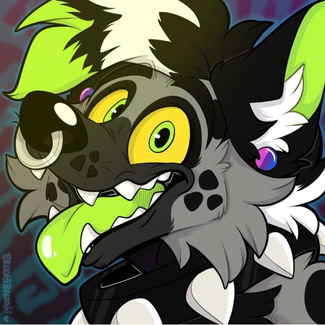 avatar for Milo