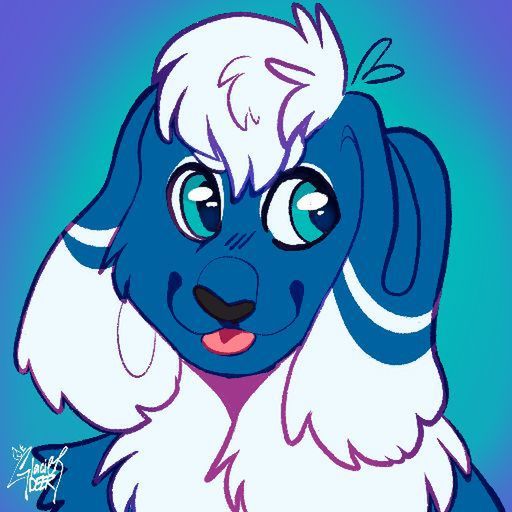 avatar for Percy Kotter