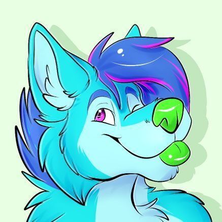 avatar for Kai Husky