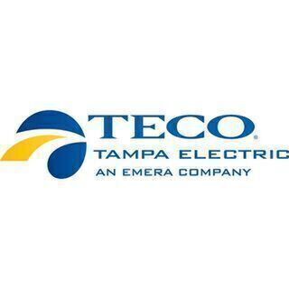 avatar for TECO