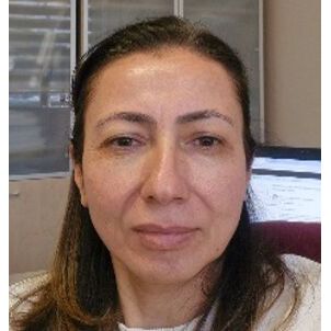 avatar for Ayten Yiğiter