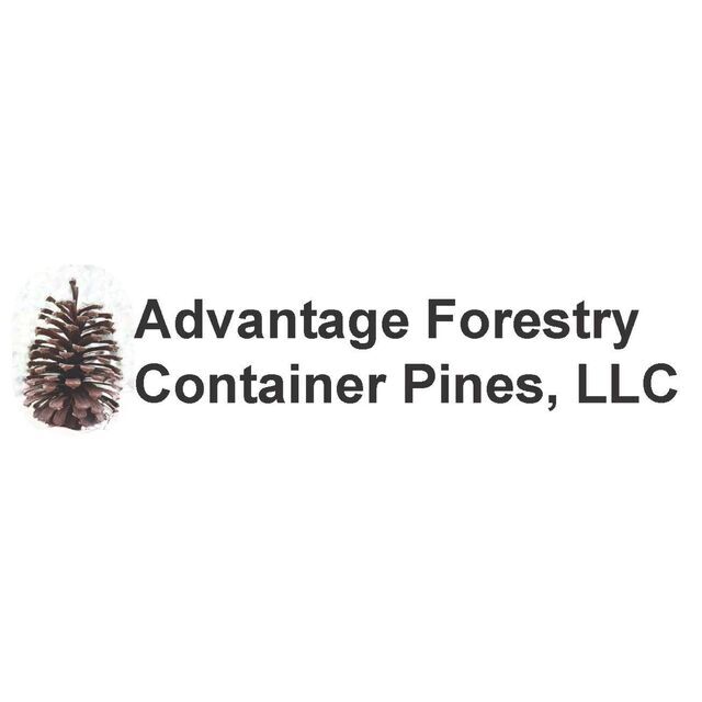 avatar for Advantage Forestry Container Pines