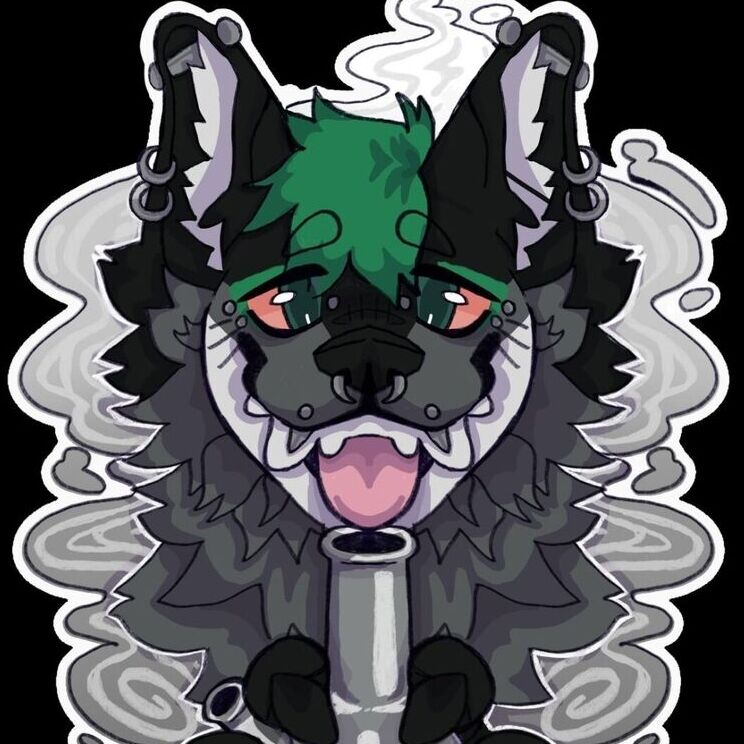 avatar for surge