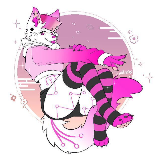 avatar for Kitt Nova