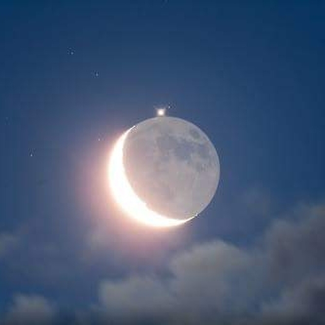 avatar for Oscar Junior