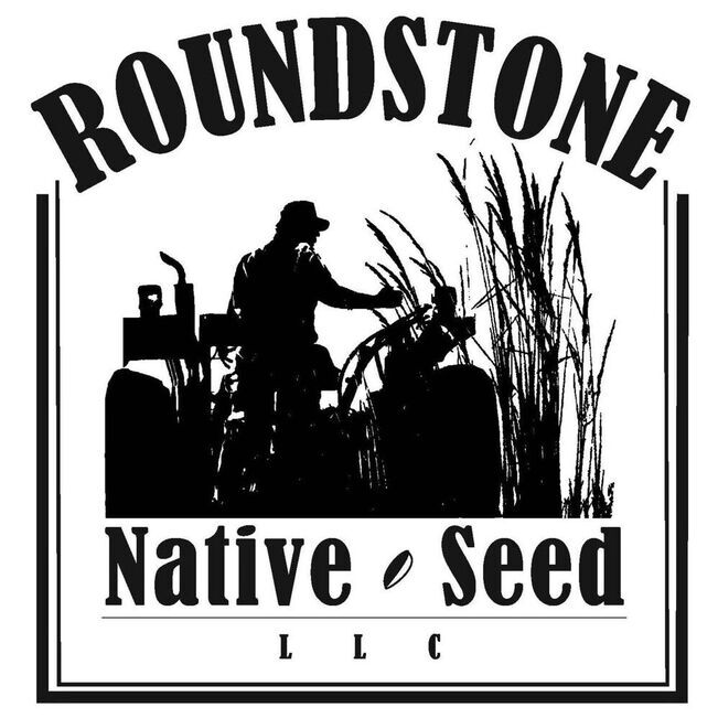 avatar for Roundstone Native Seed