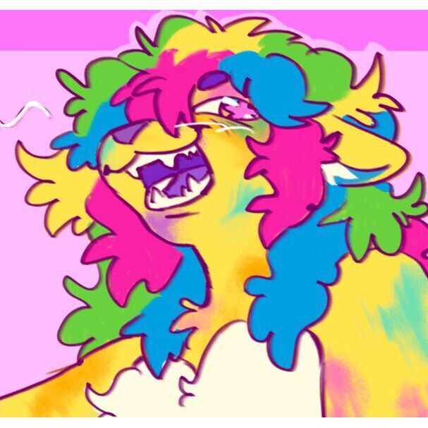avatar for Sherbet