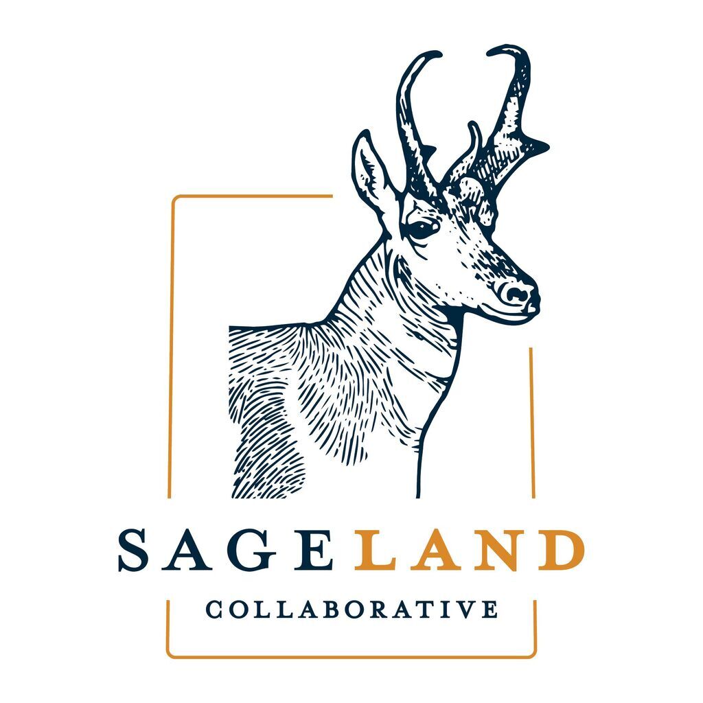 avatar for Sageland Collaborative