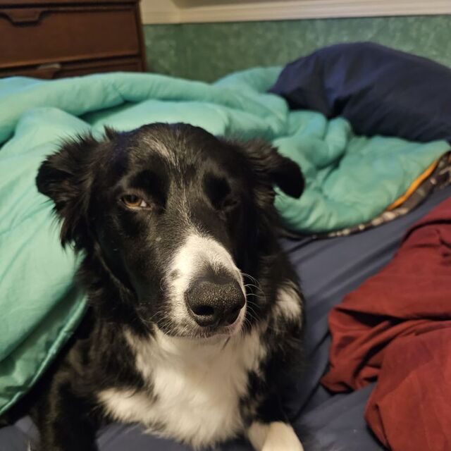 avatar for themcfrechs