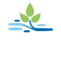avatar for Root and Ripple Designs