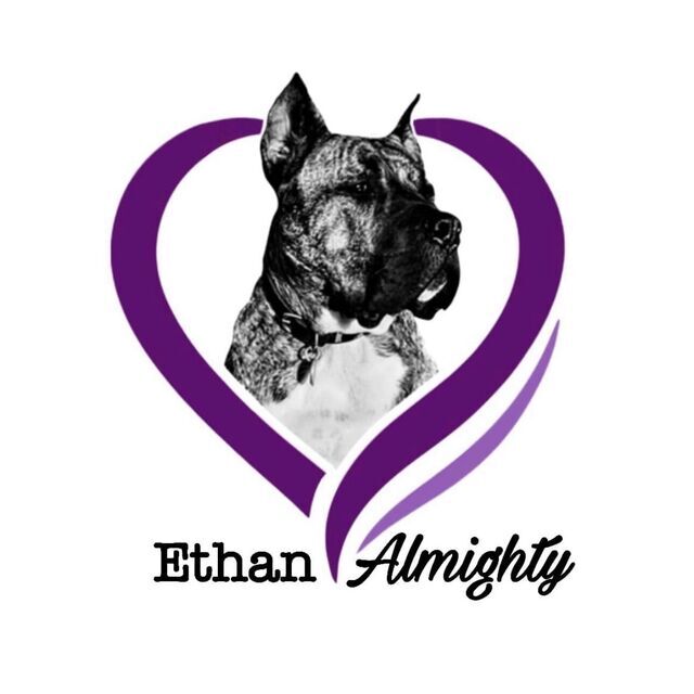 avatar for EthanAlmighty’s Blessings
