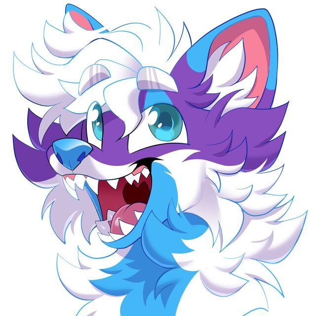 avatar for KODA