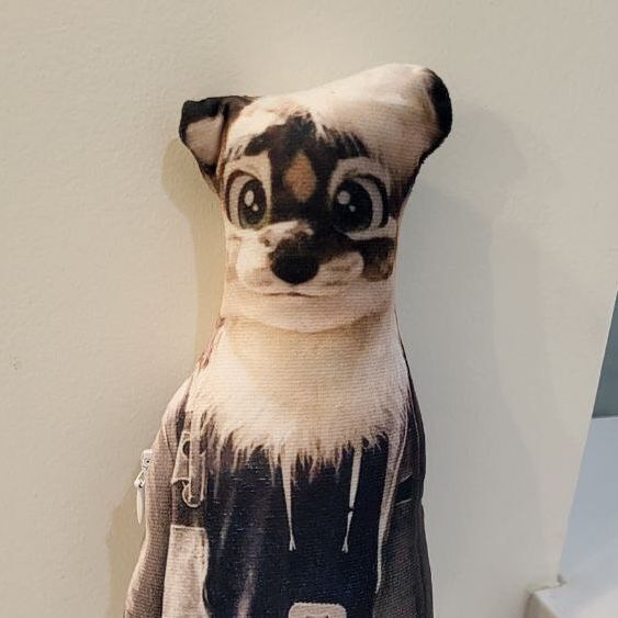 avatar for Cardboard Cat