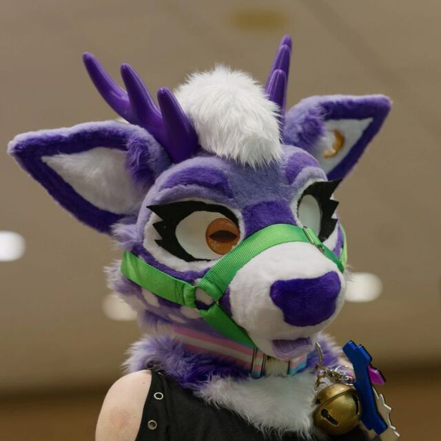 avatar for Luna_da_Fox