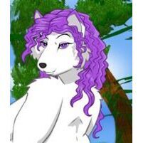 avatar for Amaracol