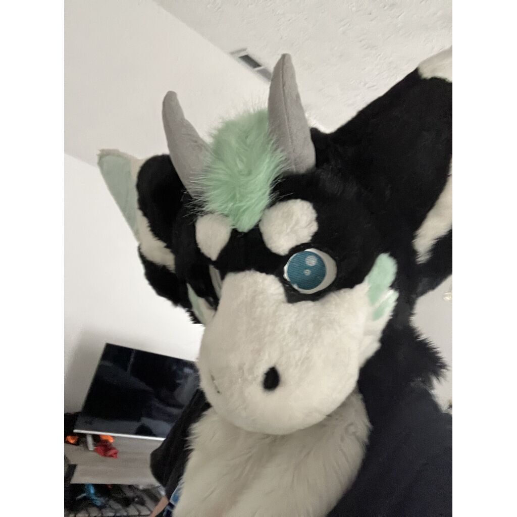 avatar for Kaiden