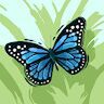avatar for KIMBERLY ORTIZ FLORES