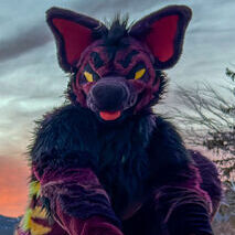 avatar for Vignette
