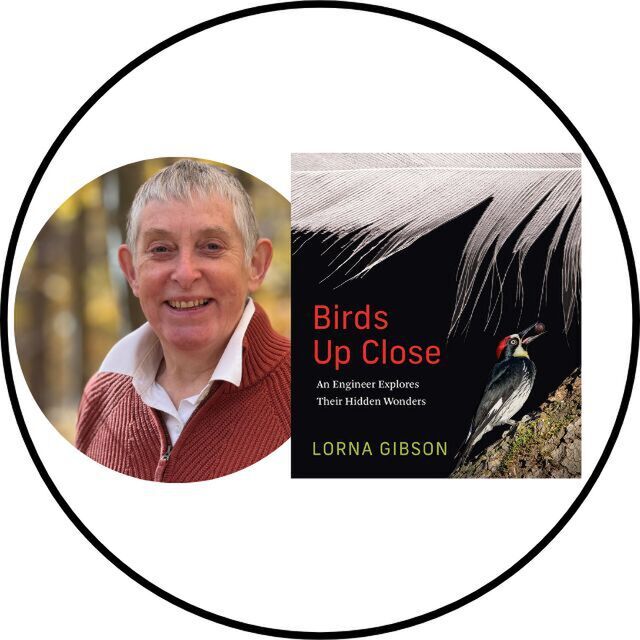avatar for Lorna Gibson