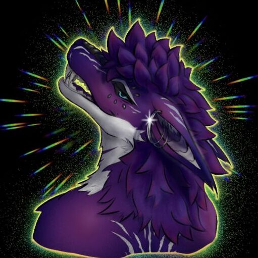 avatar for NovaCrowvyn