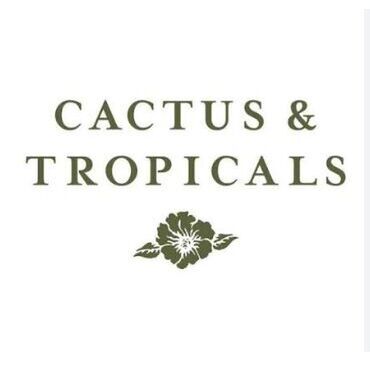 avatar for Cactus & Tropicals