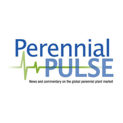 avatar for Perennial Pulse