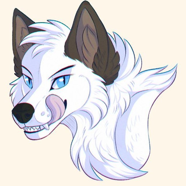 avatar for Dexy