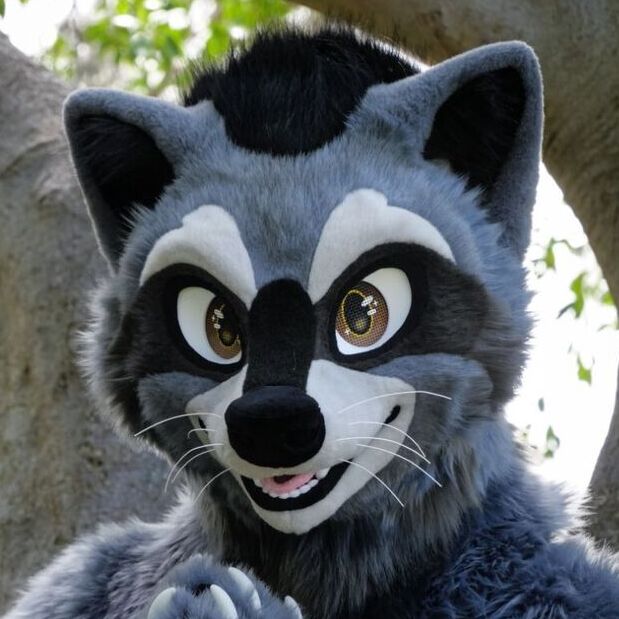 avatar for Jace the Raccoon