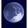 World History Association