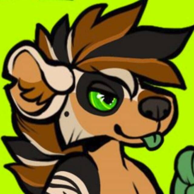 avatar for MaestroIgnitex